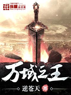 万域之王顶点