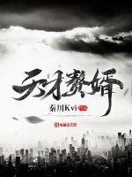 天才赘婿短剧