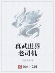 真武世界无弹窗