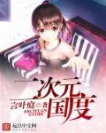 囼次元