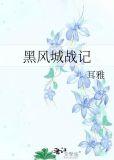 黑风城战记 晋江