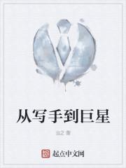 从写手到巨星宏观