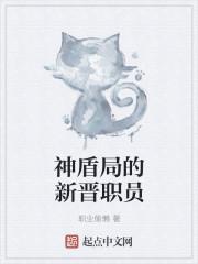 神盾局局长都有谁