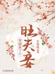 穿越夫了个夫