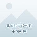重生养娃日常银色
