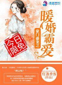 豪门盛世婚宠之暖婚
