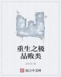 重生之极品鉴宝师