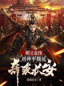 三国刘禅是谁