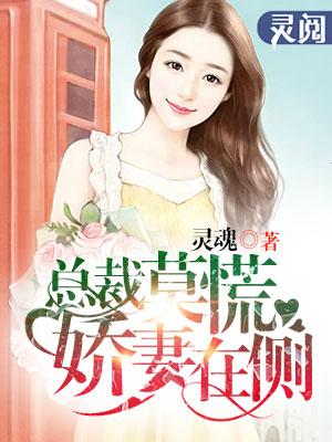 总裁娇妻哪里逃