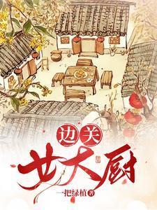 边关女大厨讲什么