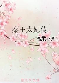 秦王妃转