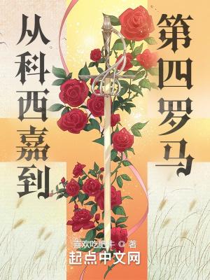 科西嘉地图位置