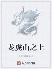 龙虎山志